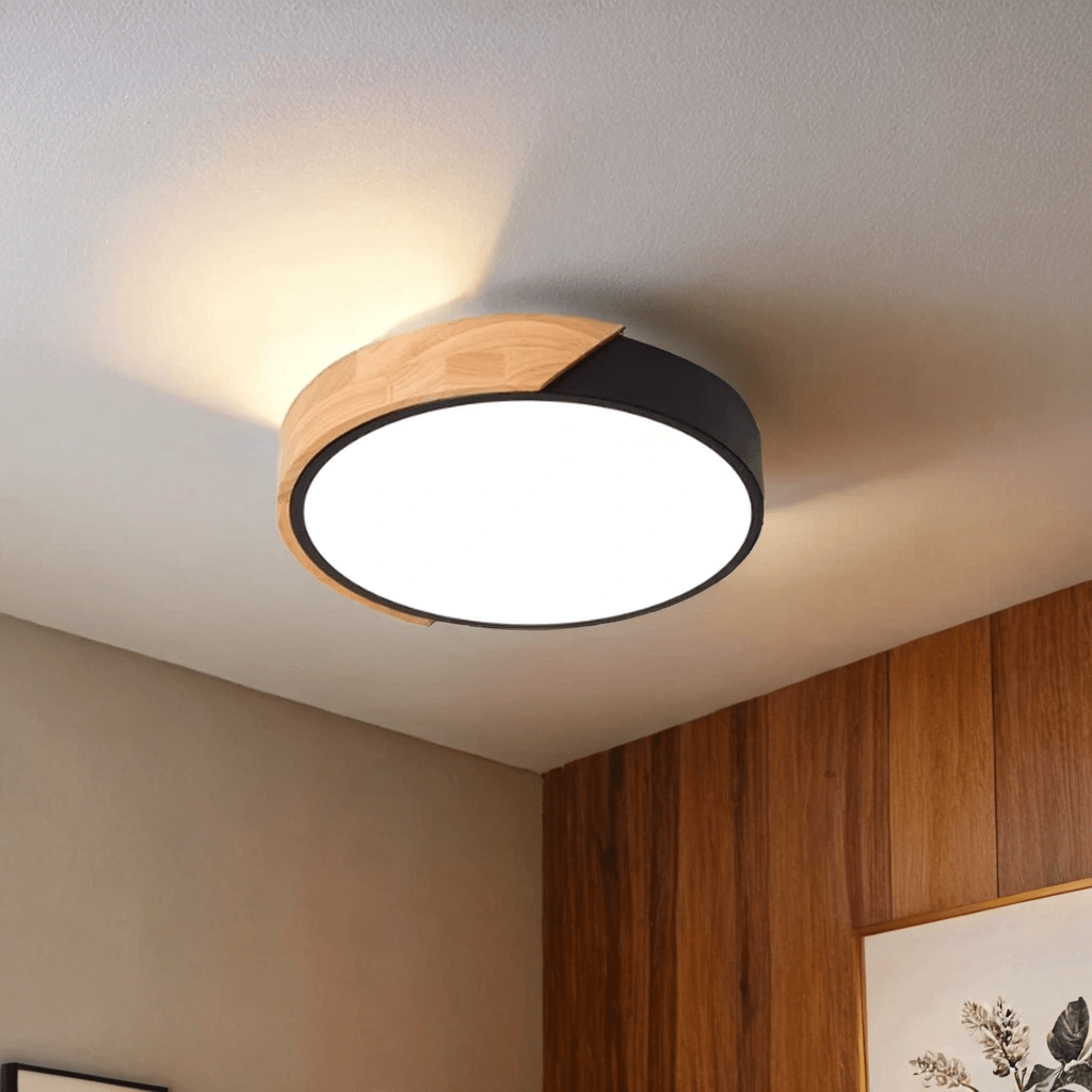 Luminária de Teto Luz Teto Led Lumiere